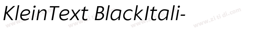 KleinText BlackItali字体转换
